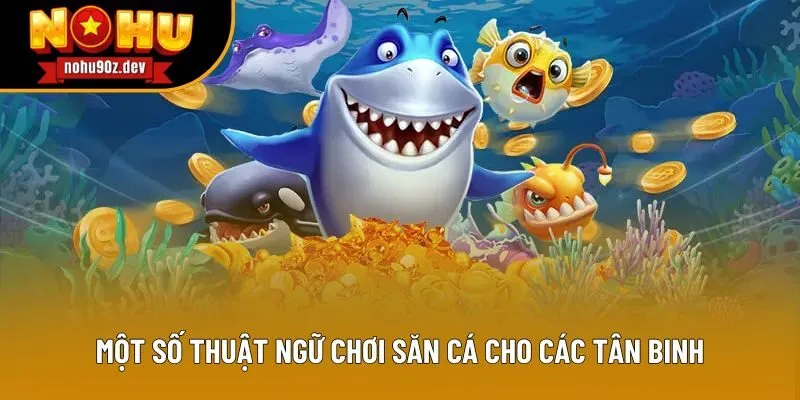 Một số thuật ngữ chơi săn cá cho các tân binh